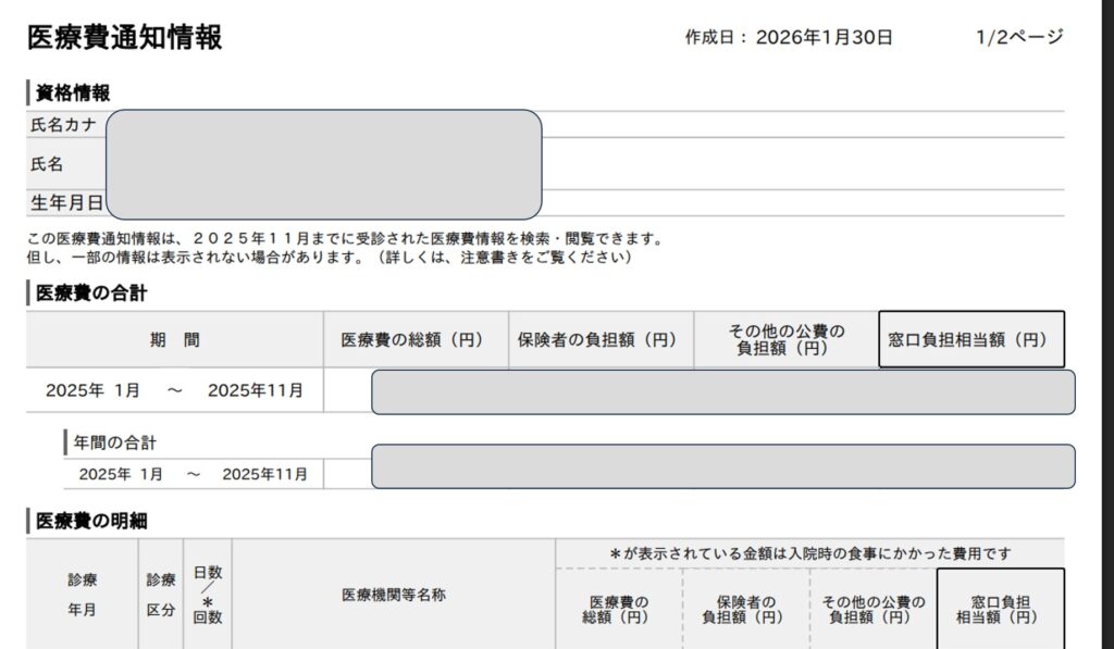 医療費情報の画像